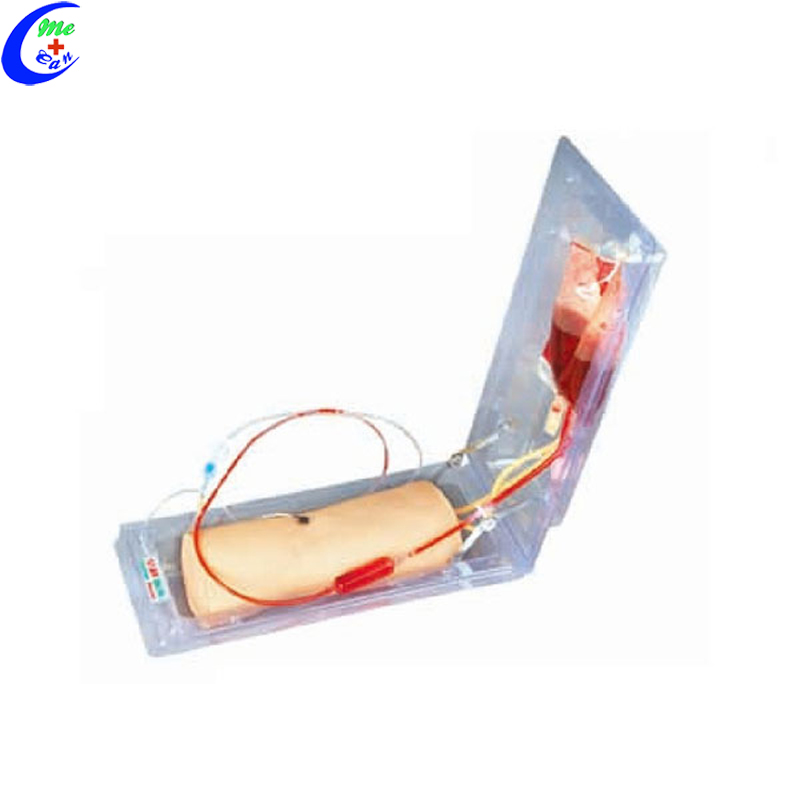 Arm Venipuncture Injection Training Model 13
