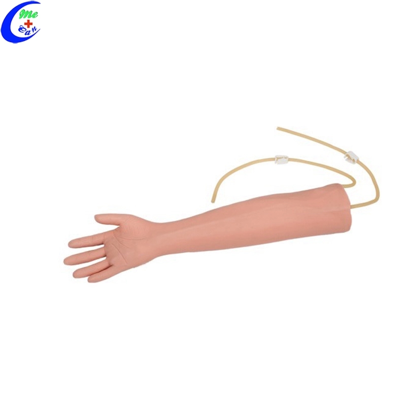 Arm Venipuncture Injection Training Model 14