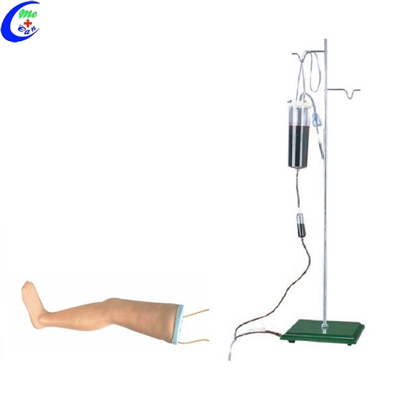 Arm Venipuncture Injection Training Model 16