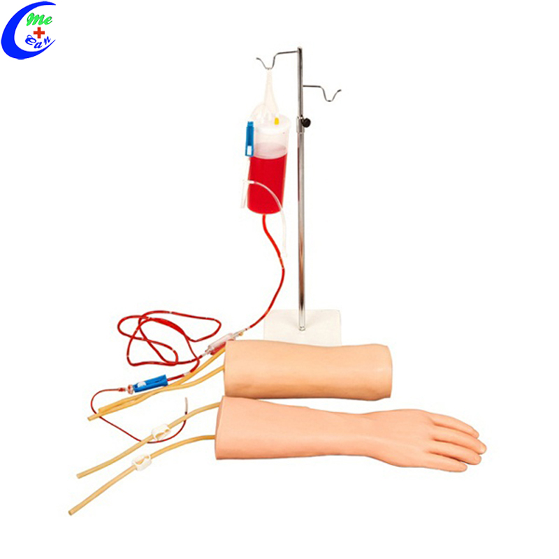 Arm Venipuncture Injection Training Model 17