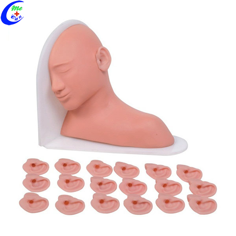Basic Nursing Set Ear Examination Simulator Model Basic Nursing Set Ear Examination Simulator Model