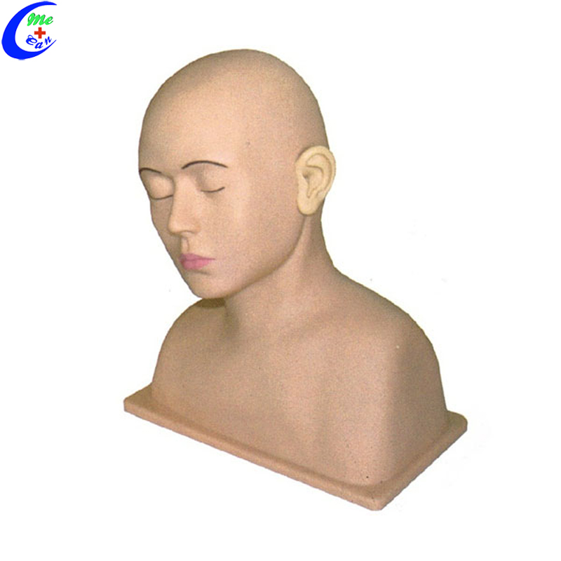 Basic Nursing Set Ear Examination Simulator Model Basic Nursing Set Ear Examination Simulator Model