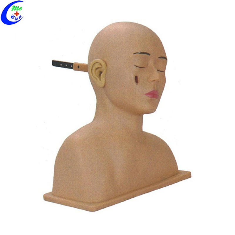 Basic Nursing Set Ear Examination Simulator Model Basic Nursing Set Ear Examination Simulator Model