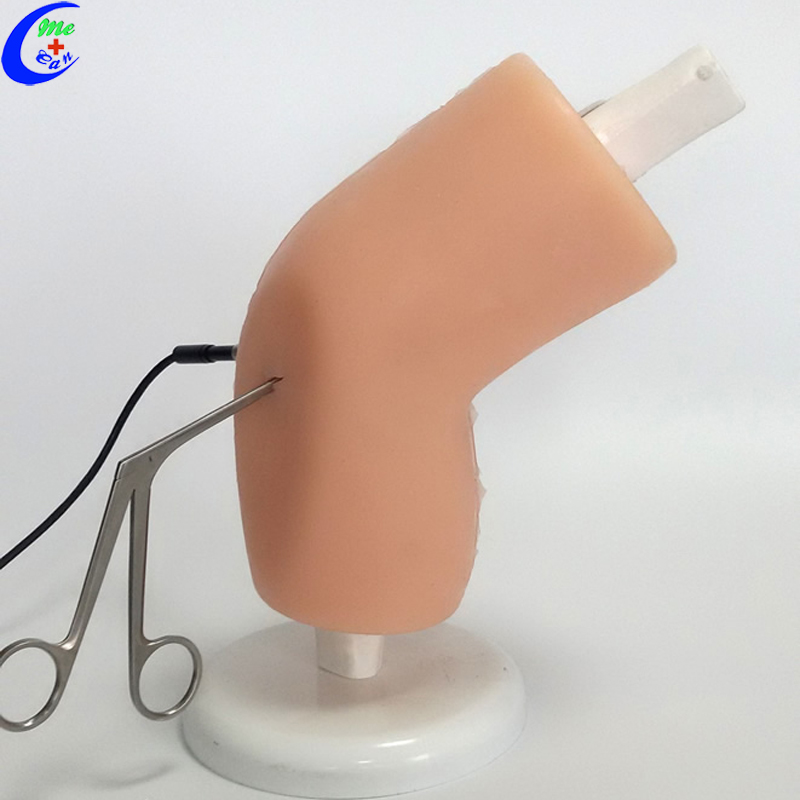 Arthroscopic Knee Simuator Model Sets Arthroscopic Knee Simuator Model Sets