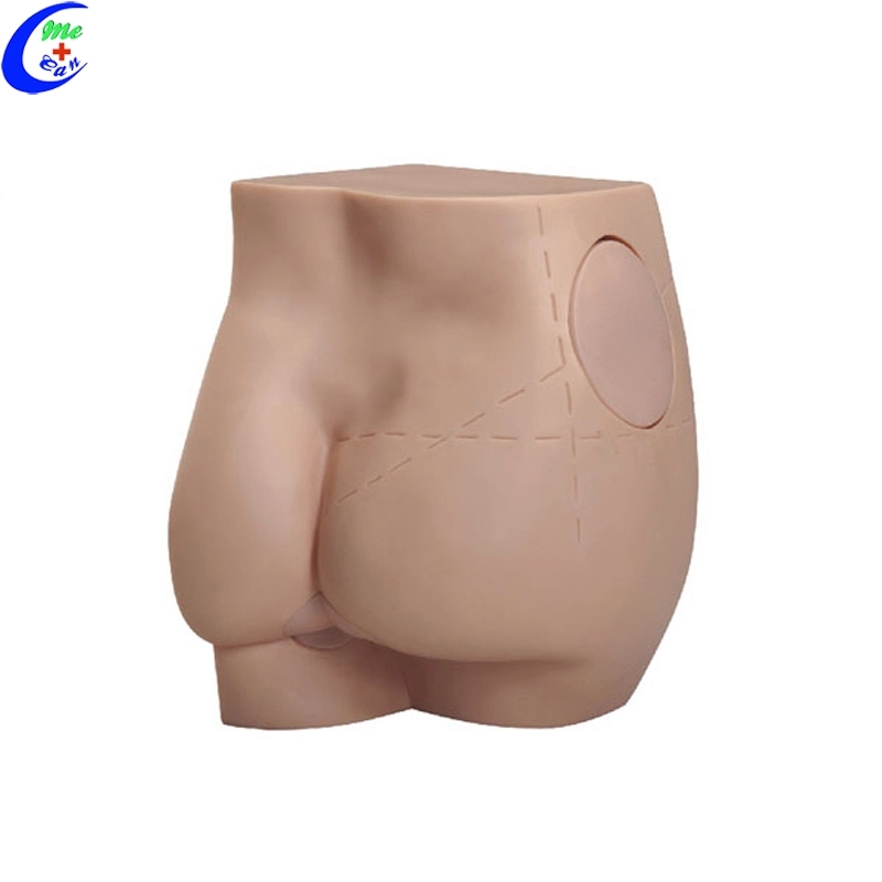 Buttock Intramuscular Injection Training Model Simulator 13