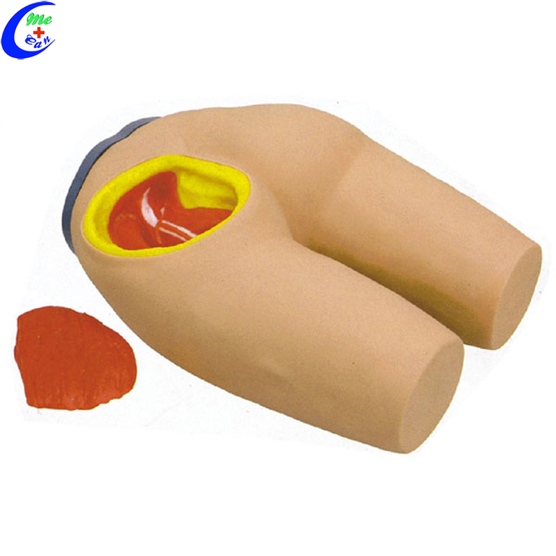 Buttock Intramuscular Injection Training Model Simulator 15