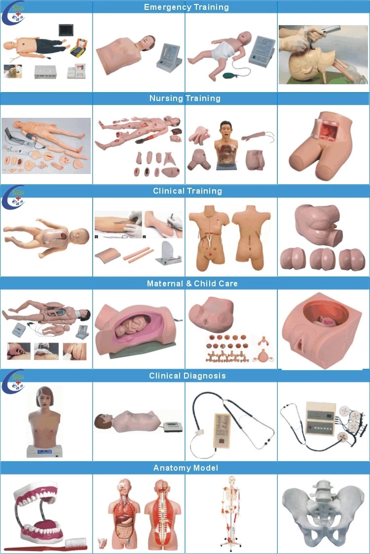 Emergency Trauma Training Simulation Mannequin 9