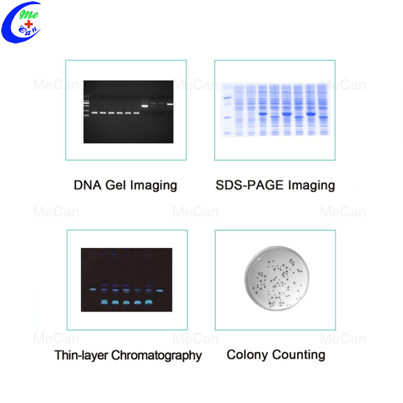 Hot Sale Automatic Gel Imaging and Analysis System 10