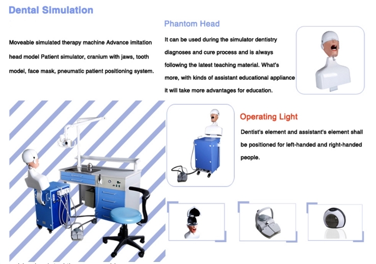 Dental Training Simulator Models