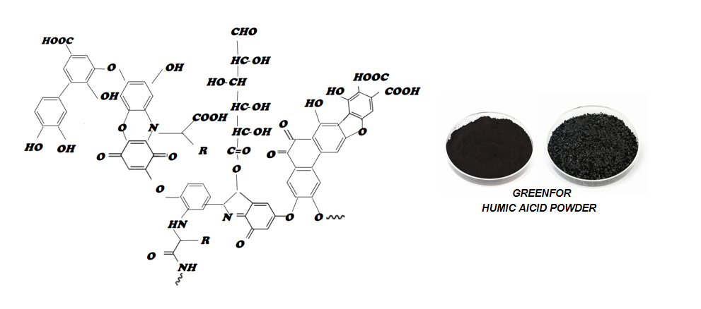 humic acid uses in plants