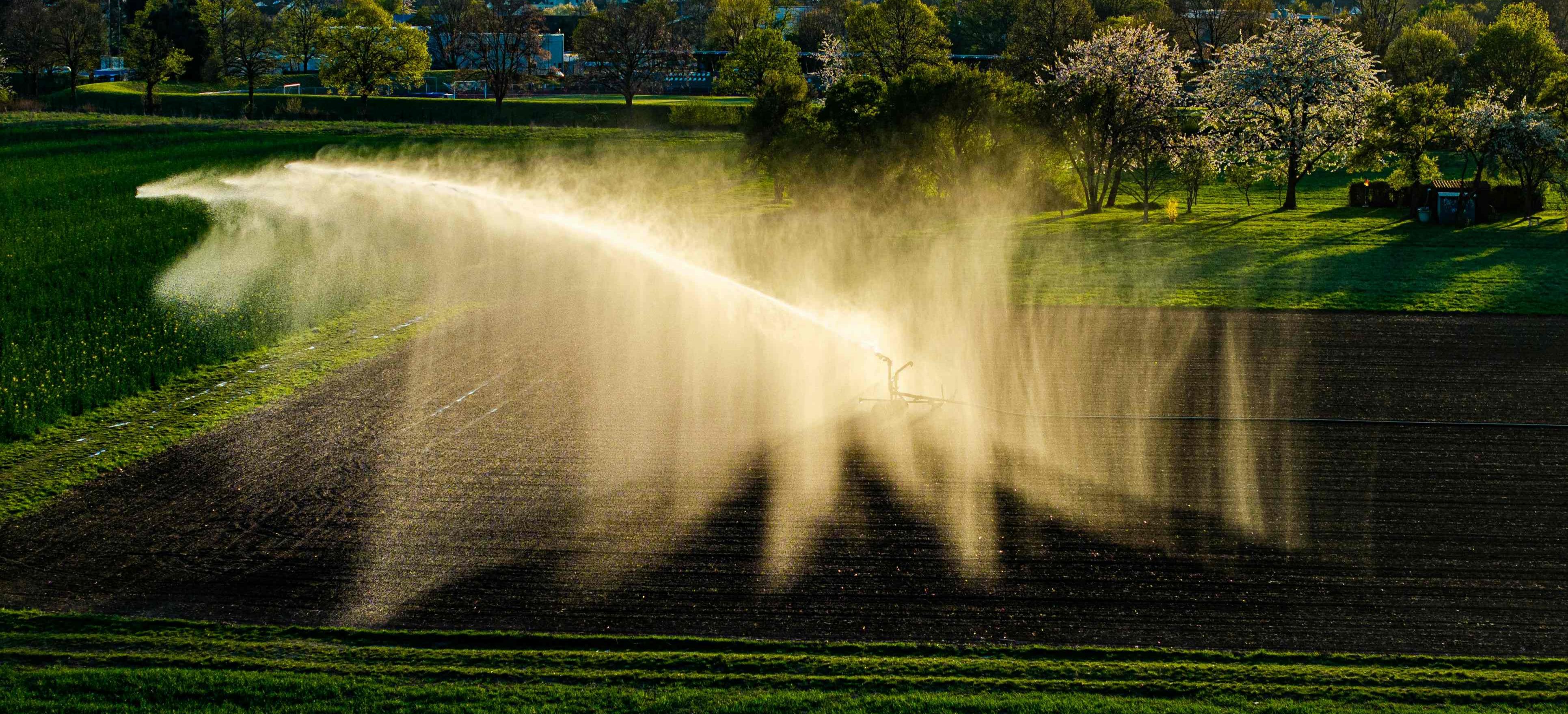 water soluble humic