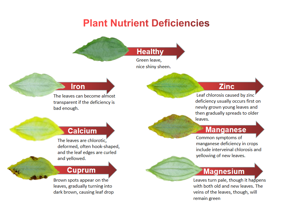 chelated trace elements fertilizer