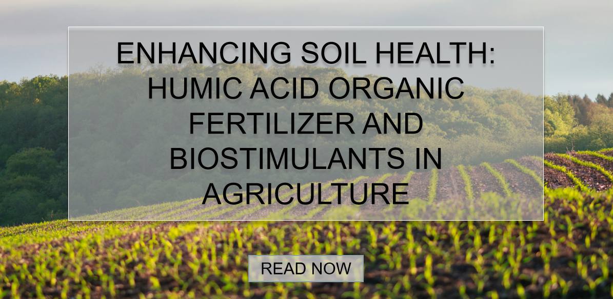 humic acid organic fertilizer
