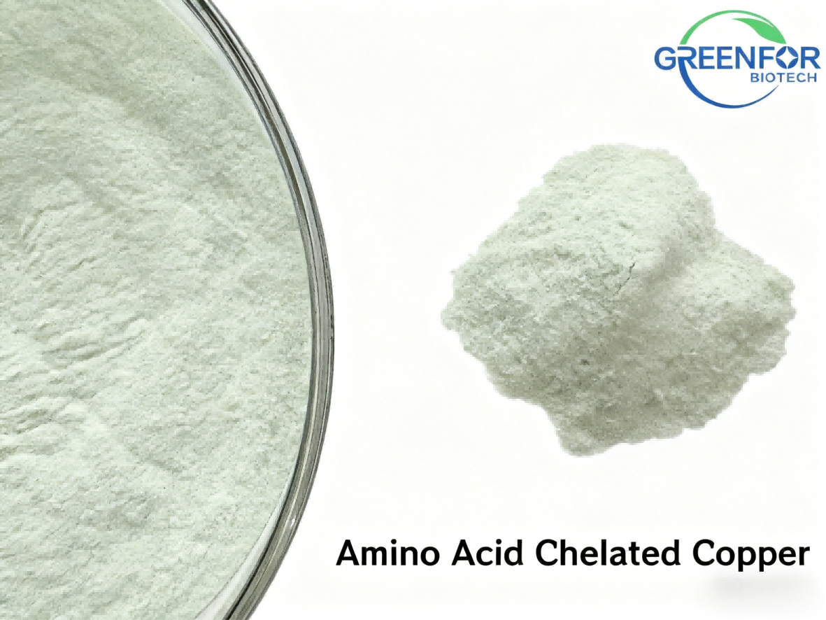amino acid chelated copper