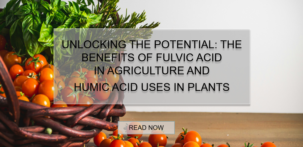 humic acid uses in plants