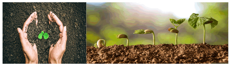 fulvic acid benefits in agriculture