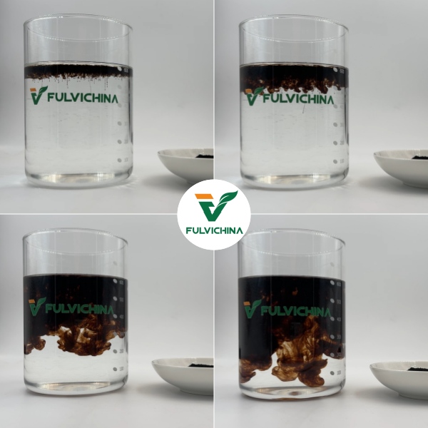 potassium fulvate fertilizer