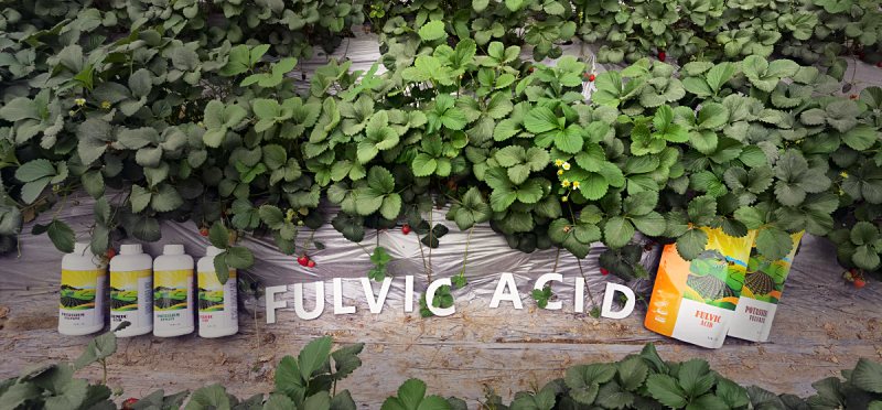 Fulvic Humic Powder