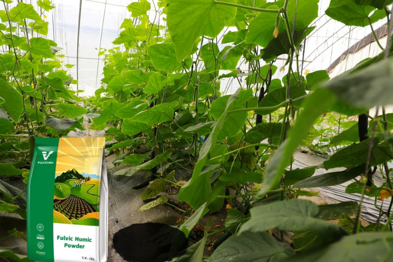 Fulvic Humic Powder
