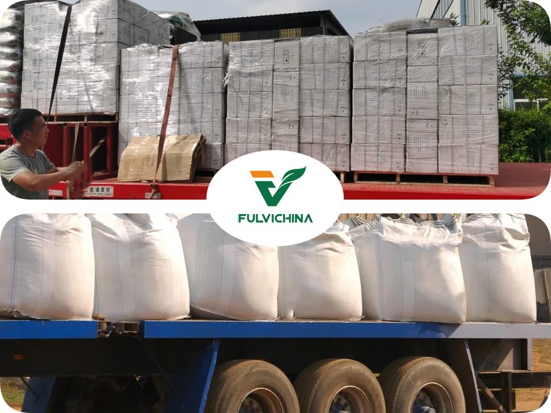 Fulvic Humic Powder
