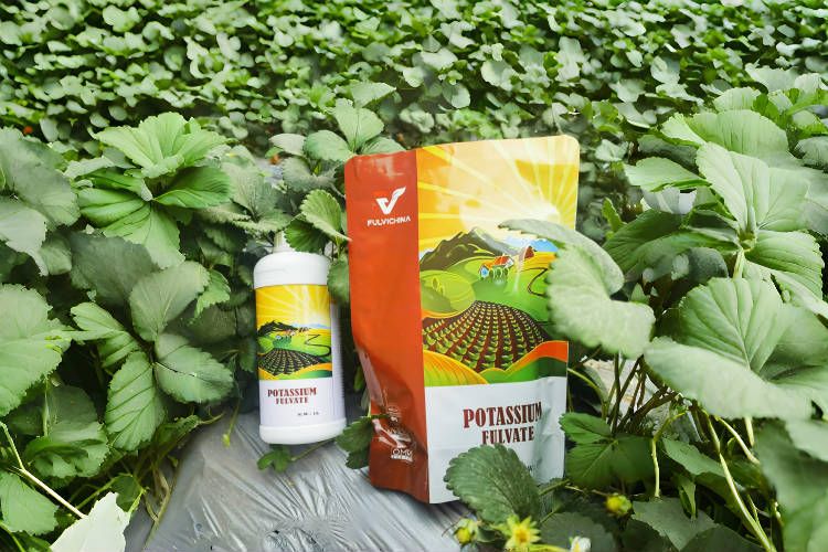 Humic Fulvic Acid Fertilizer