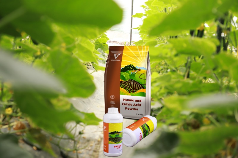 humic and fulvic acid powder-7