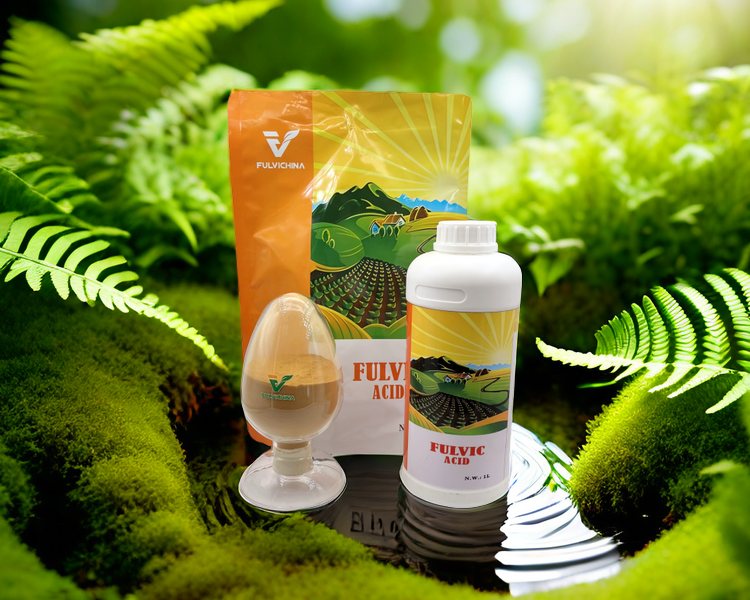 fulvic acid powder price-2