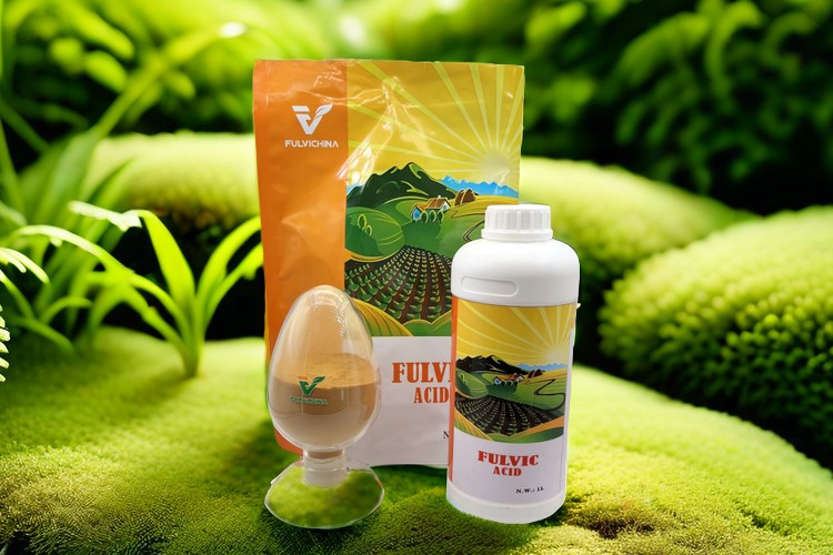 Fulvic Acid Powder for Sale