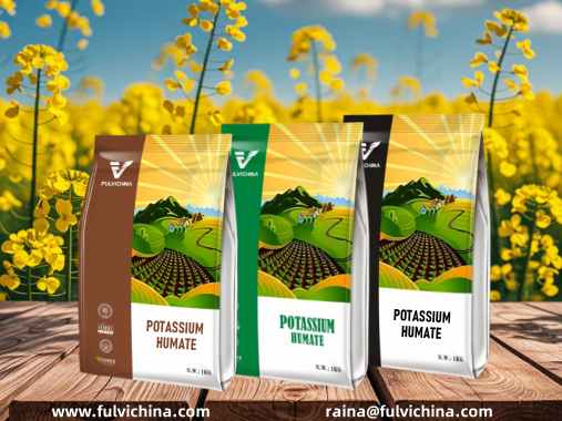 potassium humate fertilizer