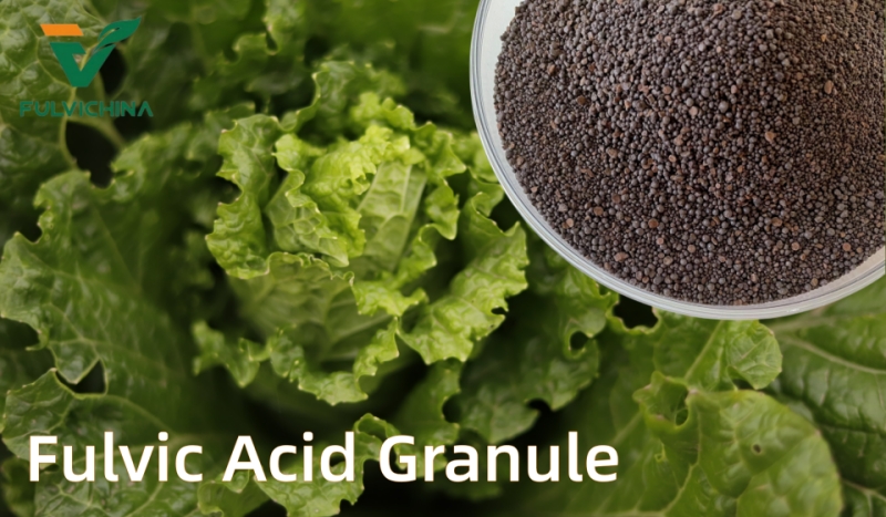 fulvic acid granule