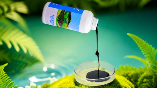 seaweed extract liquid-5