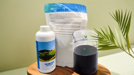 seaweed extract liquid-6