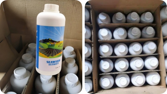 seaweed extract liquid-8