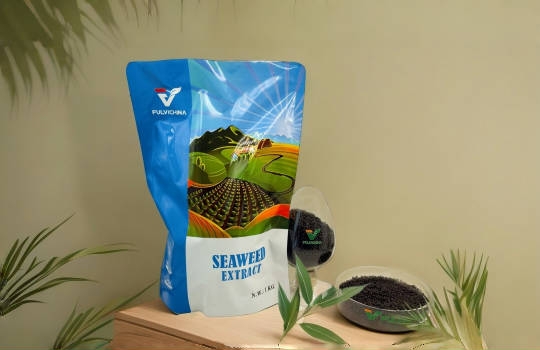 seaweed extract granular-6