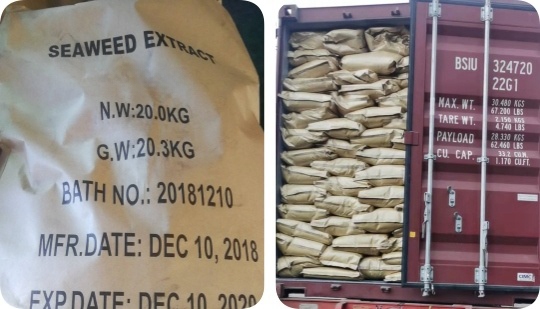 seaweed extract granular-7