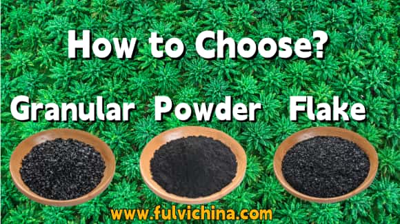 potassium-humate-palm-tree