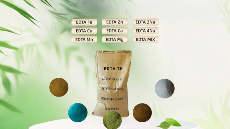 EDTA TE 6