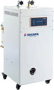 Electric steam generator