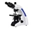 Biological Microscope