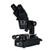 Student Binocular Microscope