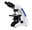 Biological Microscope