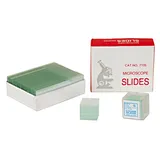 Frosted Microscope Glass Slide