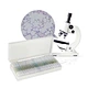 50Pcs Microscope Slides Prepared for Kids Students Education Science Home school with Lab Specimens Biological Sample