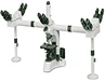Multi-viewing Microscope