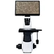 Inverted microscope