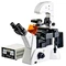 Fluorescence Microscope