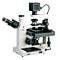 Inverted Microscope