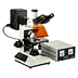 Fluorescence microscope