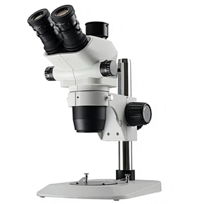 Zoom stereo microscope