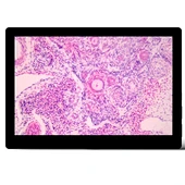 Microscope scopepad
